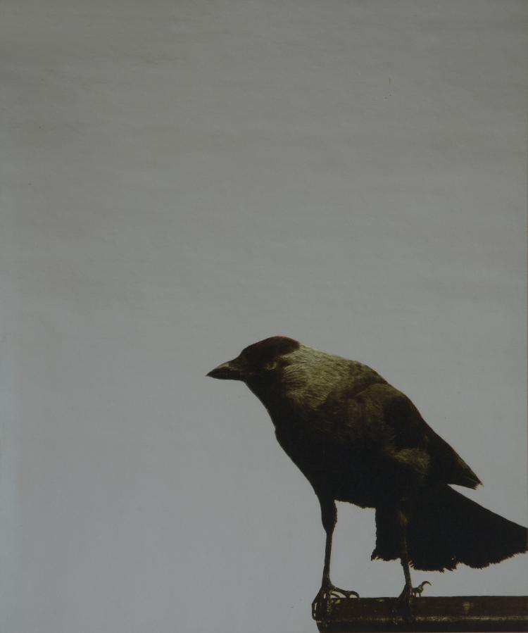 Hauptbild zu Objekt, 'Cartella A', 1983, Michelangelo Pistoletto, 118B 138