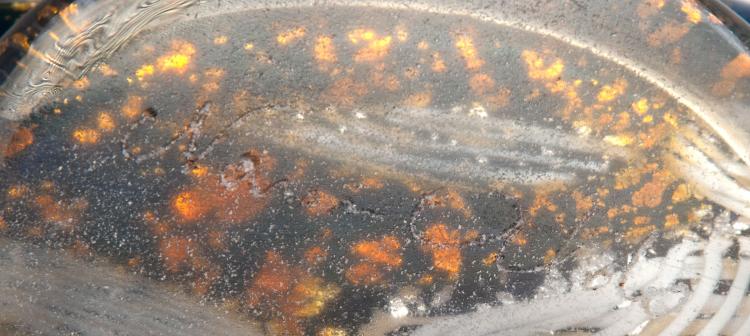 Bild 3 zu Objekt, 'Yokohama' dove, c1958, Aldo Nason, A.Ve.M., Murano, 116B 189