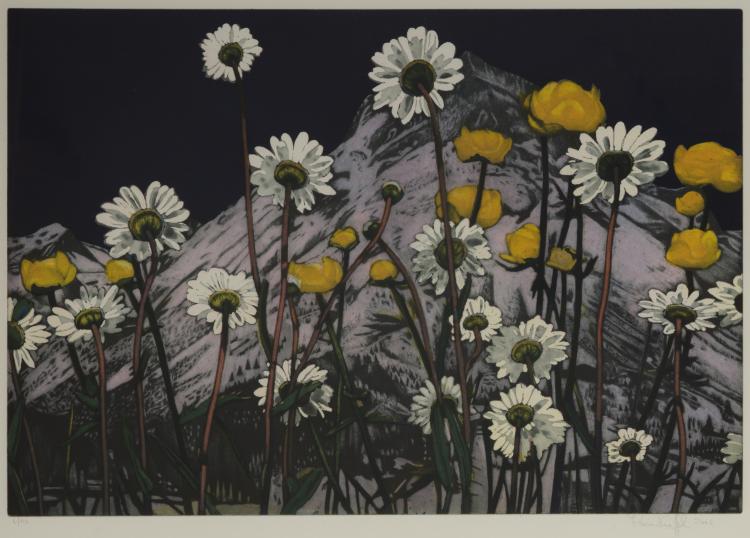 Hauptbild zu Objekt, 'Blumenwiese', 2006, Karin Kneffel, 118B 111