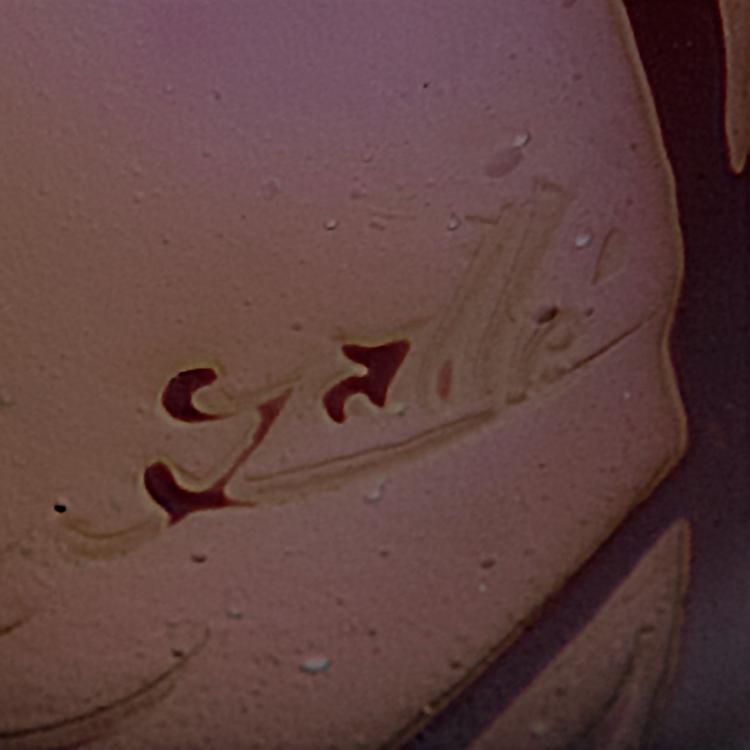 Bild 2 zu Objekt, 'Algues rouges' vase, 1920s, Gall&eacute;, Emile, Nancy, 120 255