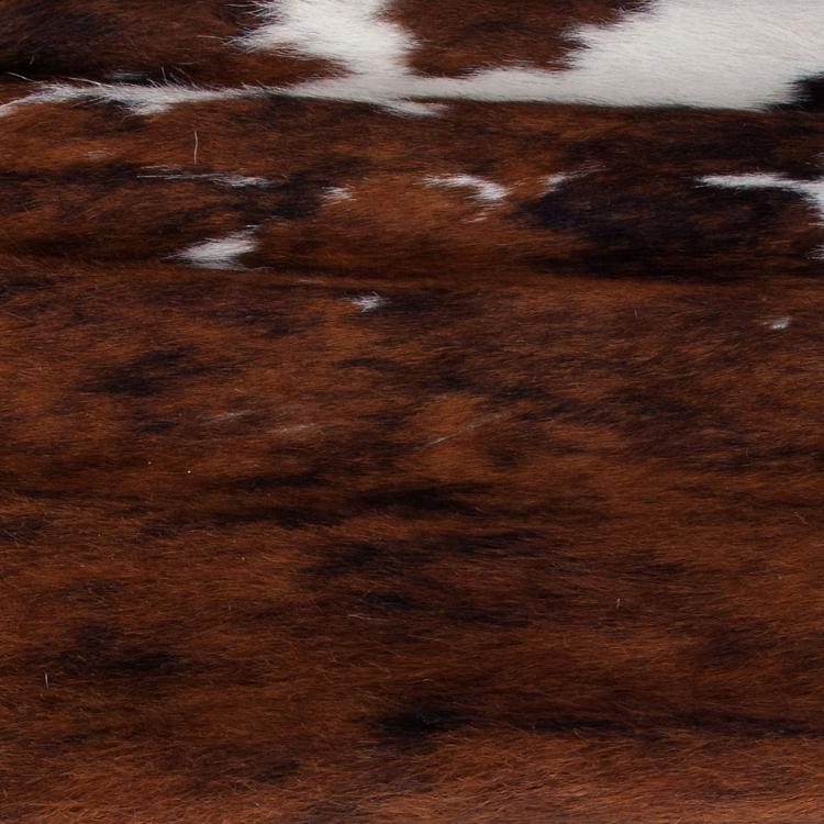 Bild 3 zu Objekt, Zwei Armlehnsessel 'LC 1', 1928, Cassina, Mailand, 119C 27