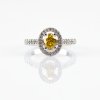 Entourage ring with a diamond in a natural bright intense yellow and white diamonds