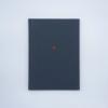 Otto Künzli. Das dritte Auge, 1991
