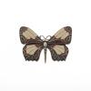 Brooch 'Butterfly', c. 1927