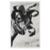 'Cow', 1966