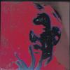 'Wandbild Andy Warhol rot', 2003