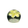 Paperweight, c1948