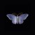 Brosche 'Schmetterling', um 1920