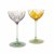 Two sweet wine glasses, 1902
