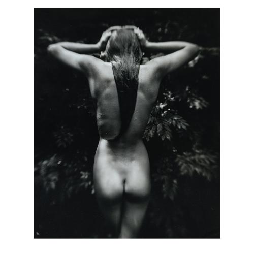 'Punctus', 1992