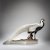 Silver Pheasant, 1914