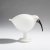 White ibis, 2005