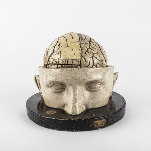 Anatomisches Modell des menschlichen Gehirns, um 1880