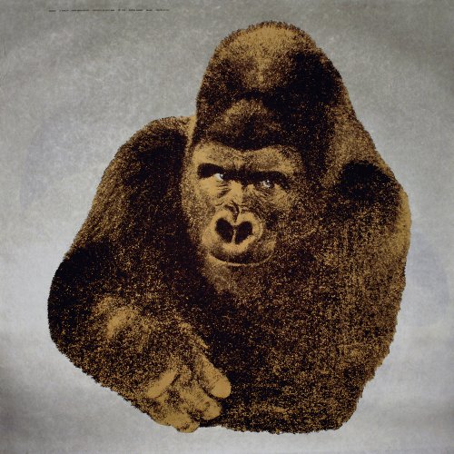 'Quindici Il Gorilla' aus der 'Serie della Natura'