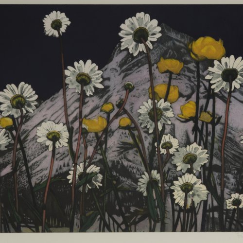'Flower meadow', 2006