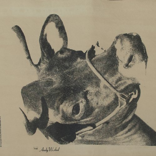 'Cow' (Wallpaper, La Biennale), about 1976