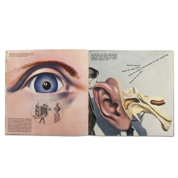 Bild 1 zu Objekt, Das Wunder des Lebens, 1935, Fachliteratur, 145A 173