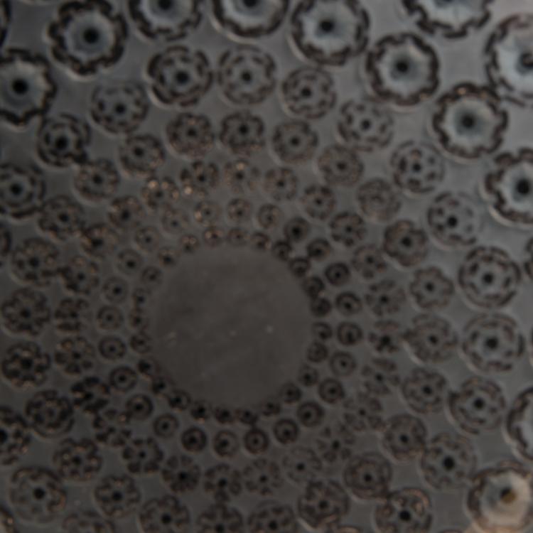 Bild 2 zu Objekt, Schale 'Nemours', 1929, Lalique, Ren&eacute;, Wingen-sur-Moder, 144A 42