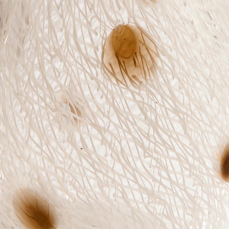 Bild 1 zu Objekt, Two flacons 'Merletto pois', 1954, Seguso, Archimede, Murano, 146D 806