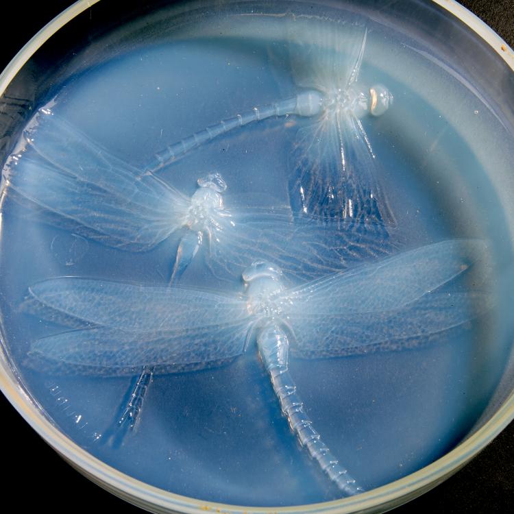 Bild 1 zu Objekt, Deckeldose 'Georgette', 1922, Lalique, Ren&eacute;, Wingen-sur-Moder, 147A 20