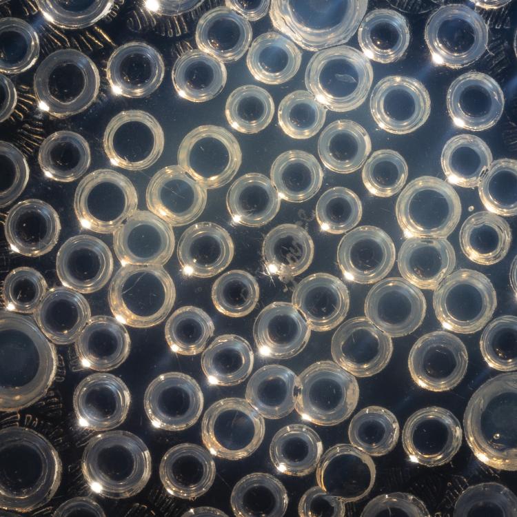 Bild 6 zu Objekt, Schale 'Roscoff', 1932, Ren&eacute; Lalique, Lalique, Ren&eacute;, Wingen-sur-Moder, 150A 79