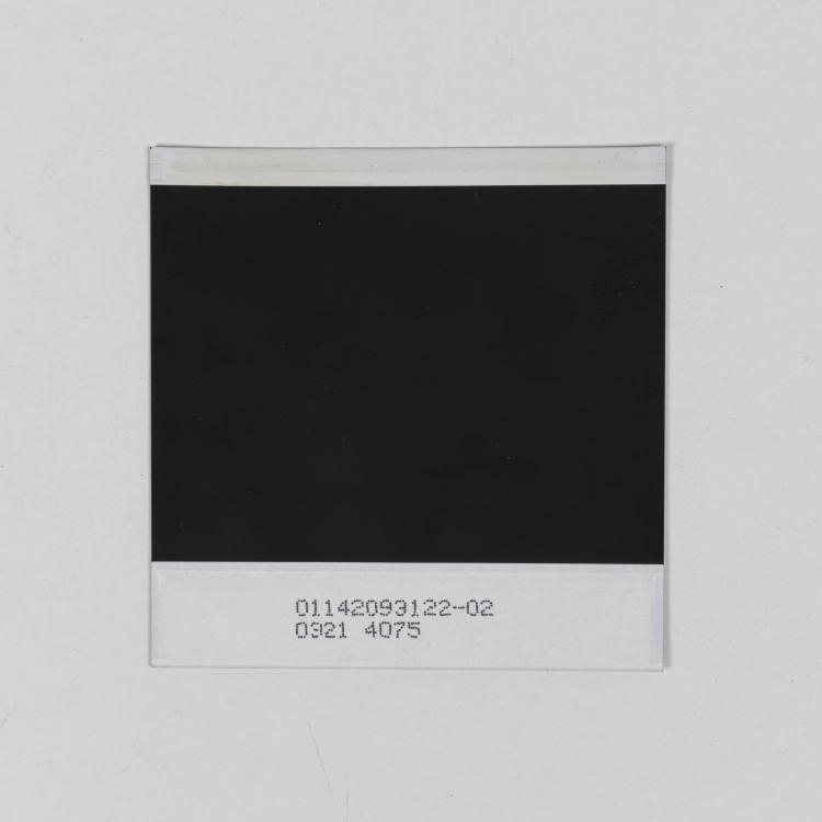 Bild 1 zu Objekt, Untitled (self-portrait), 2002, John Armleder, 151C 660