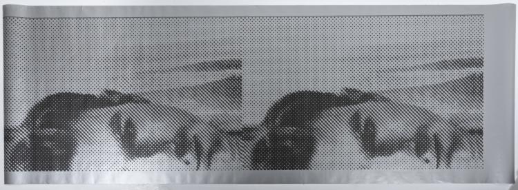 Hauptbild zu Objekt, Silver Wallpaper, nach 1960, Andy Warhol, 151C 792