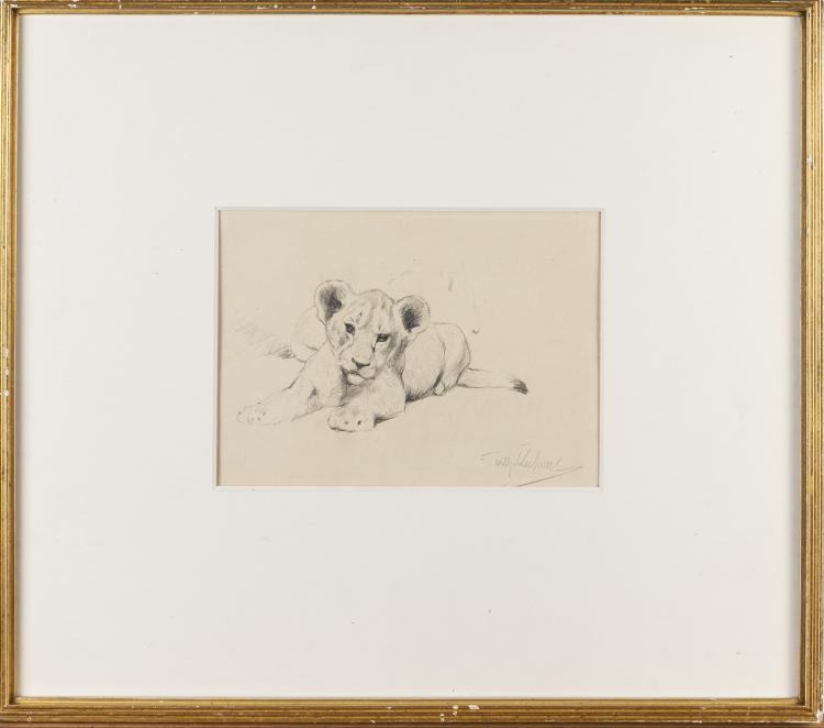 Hauptbild zu Objekt, 'L&ouml;wenjunges', 1913-1915, Wilhelm Kuhnert, 151C 639