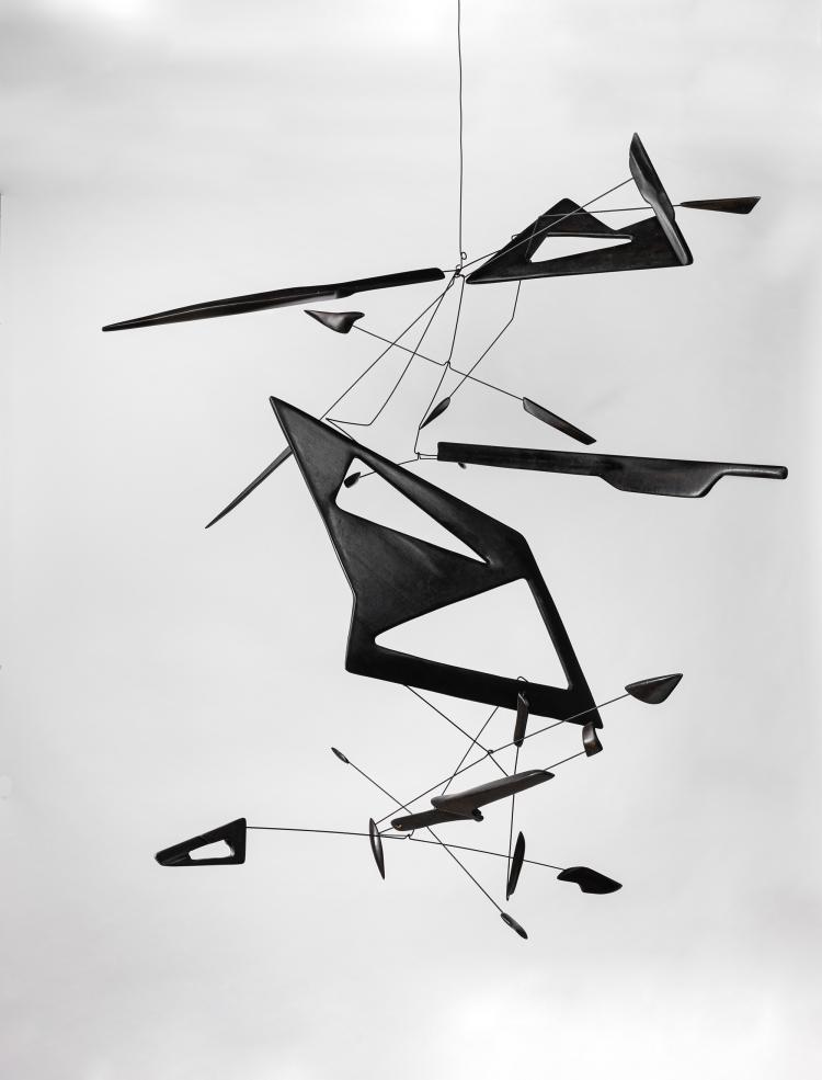 Hauptbild zu Objekt, Unicum Mobile, 2012, Derick Pobell, Pobell, Derick, 152B 605