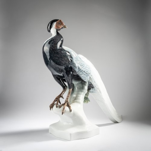 Great silver pheasant, 1923