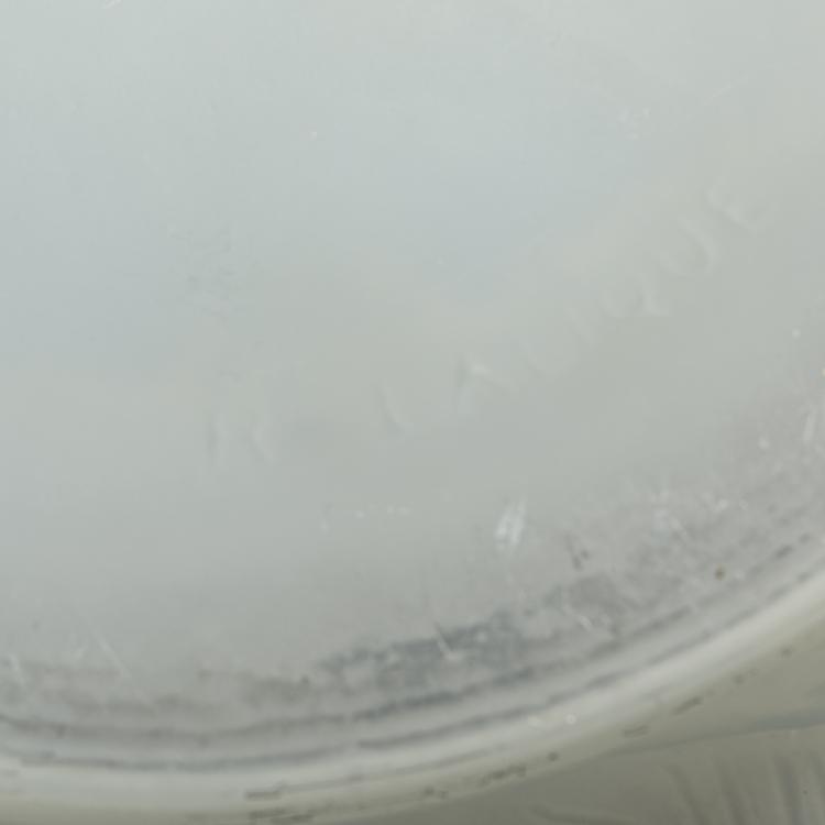 Bild 3 zu Objekt, Vase 'Plumes', 1920, Suzanne Lalique, Lalique, Ren&eacute;, Combs-la-Ville, 153A 5