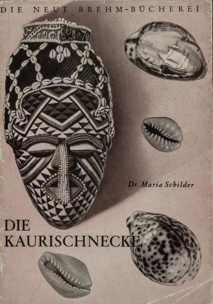 Hauptbild zu Objekt, Die Kaurischnecke, 1952, 154D 669