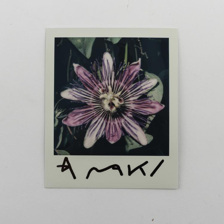 Hauptbild zu Objekt, Untitled (passion flower), 2000s, Nobuyoshi Araki, 157C 792