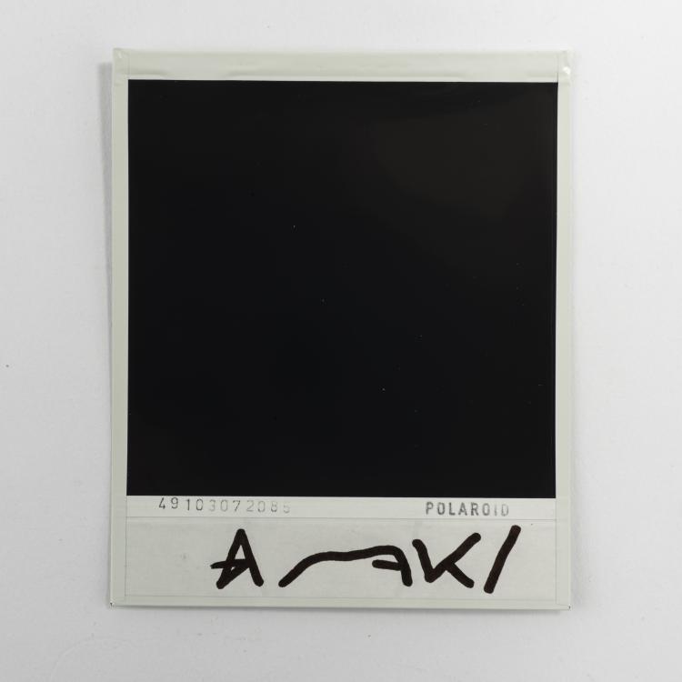 Bild 1 zu Objekt, Untitled (red lilies and green frog), 2000s, Nobuyoshi Araki, 157C 793