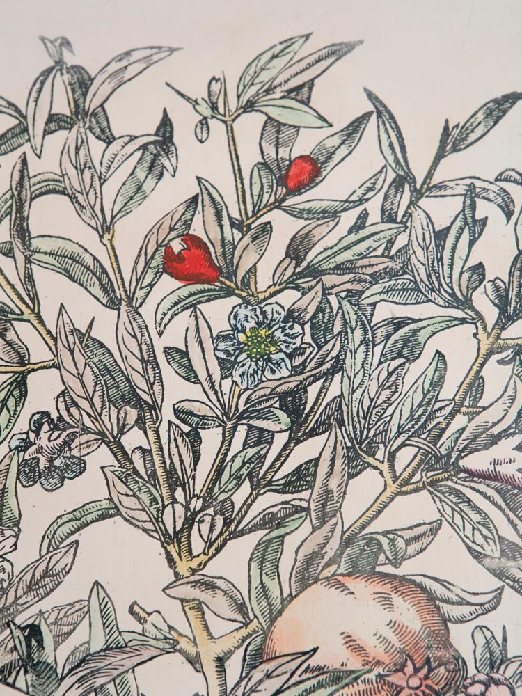 Bild 1 zu Objekt, Unikat Einbau-Kleiderschrank, 1950er Jahre, Piero Fornasetti, Fornasetti, Mailand, 154A 99