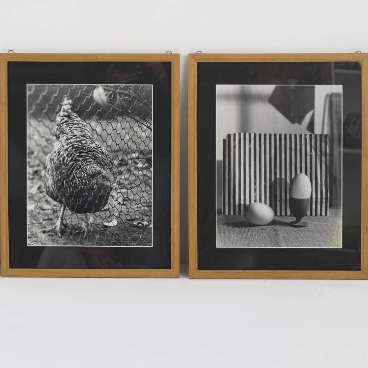 Hauptbild zu Objekt, Zwei Fotografien 'Huhn' und 'Eier', 1929-33,  Bauhaus, 157A 57