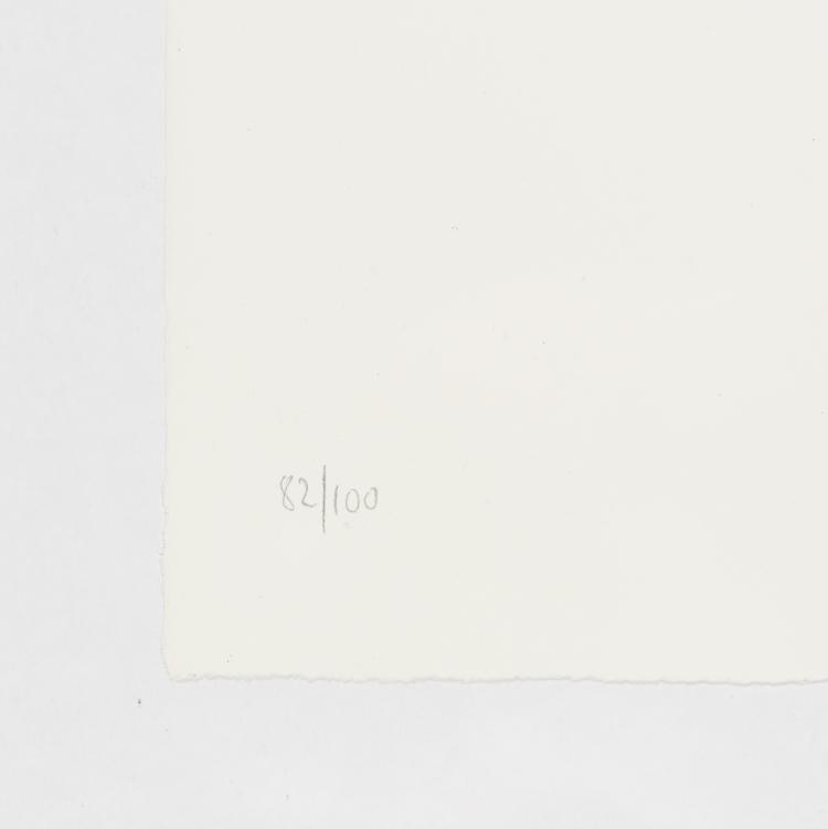 Bild 2 zu Objekt, Hundeportr&auml;t, aus 'Meine Kindheit - Schmerz und Heilung', 1997, Rosemarie Trockel, 157C 762
