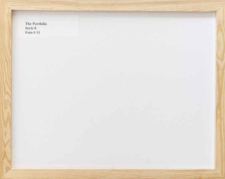 Bild 2 zu Objekt, 'Frank Lloyd Wright, Freeman House, Los Angeles, California', 1953, Julius Shulman, Edition Taschen, 157C 872