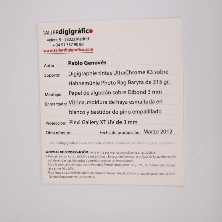 Bild 1 zu Objekt, 'Last Judgment', 2011 (printed 2012), Pablo Genov&eacute;s, Genov&eacute;s, Pablo, 160C 617