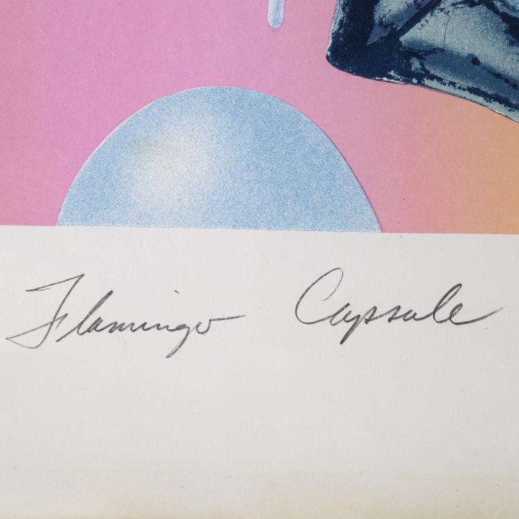 Bild 1 zu Objekt, 'Flamingo Capsule', 1973, James Rosenquist, 160B 262