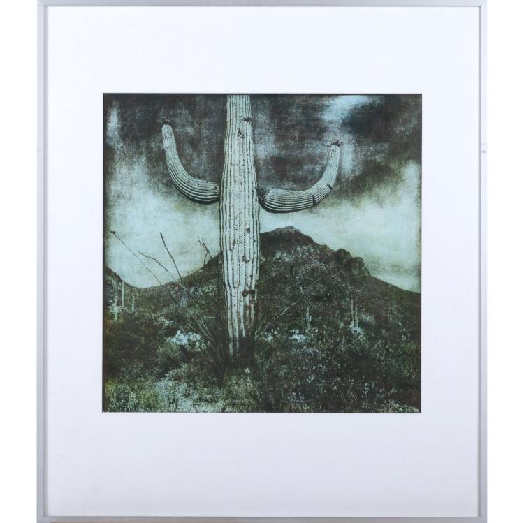 Hauptbild zu Objekt, Green cactus, c. 2006, Martin Pudenz, 160B 446