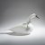 Swan  'Karjalan Laulujoutsenet', 2004