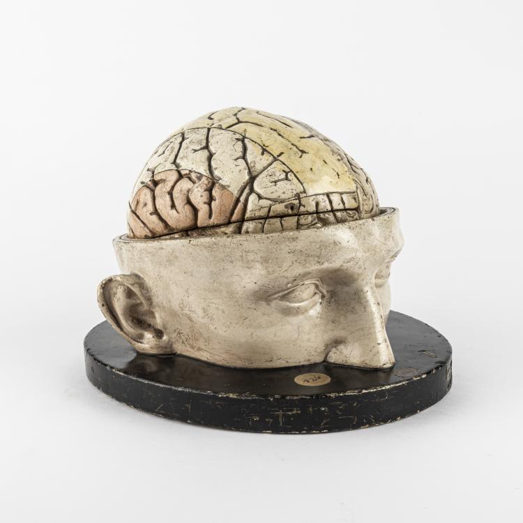 Bild 4 zu Objekt, Anatomical model of the Human Brain, c. 1880, Leipzig, 163B 144