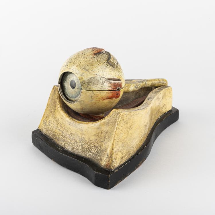 Bild 3 zu Objekt, Anatomical model of the Human Eye, 1900 - 1920, Frankreich (zugeschrieben), 163B 156