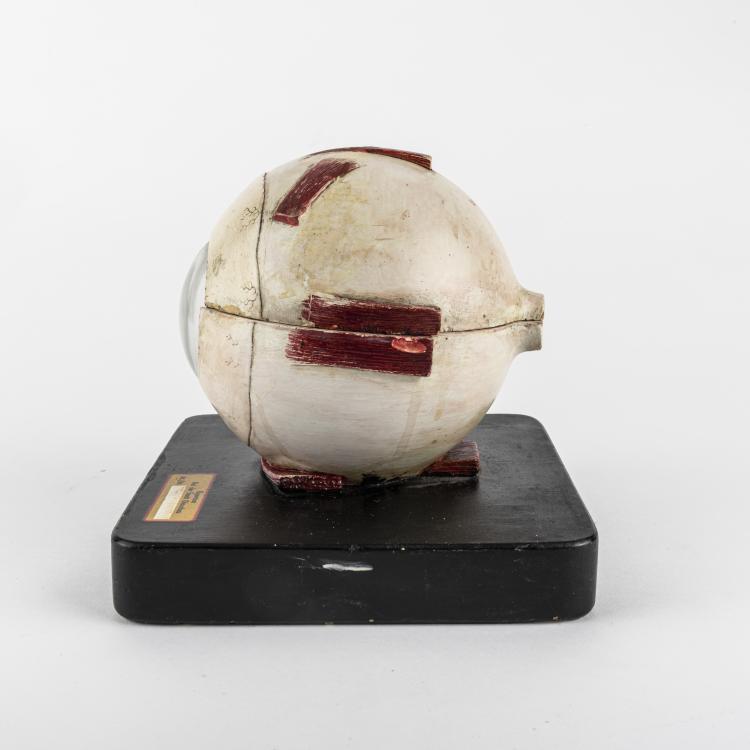 Bild 3 zu Objekt, Anatomical model of the Human Eye, c. 1940, Deutschland (zugeschrieben), 163B 158