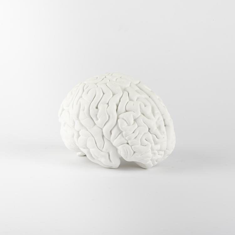 Bild 1 zu Objekt, 'Brain', 1987, Katharina Fritsch, 163B 143