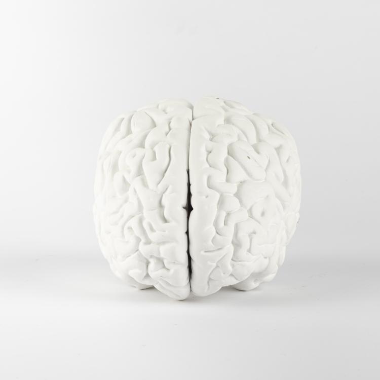 Bild 2 zu Objekt, 'Brain', 1987, Katharina Fritsch, 163B 143