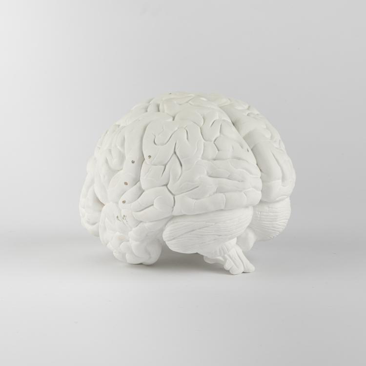 Bild 3 zu Objekt, 'Brain', 1987, Katharina Fritsch, 163B 143