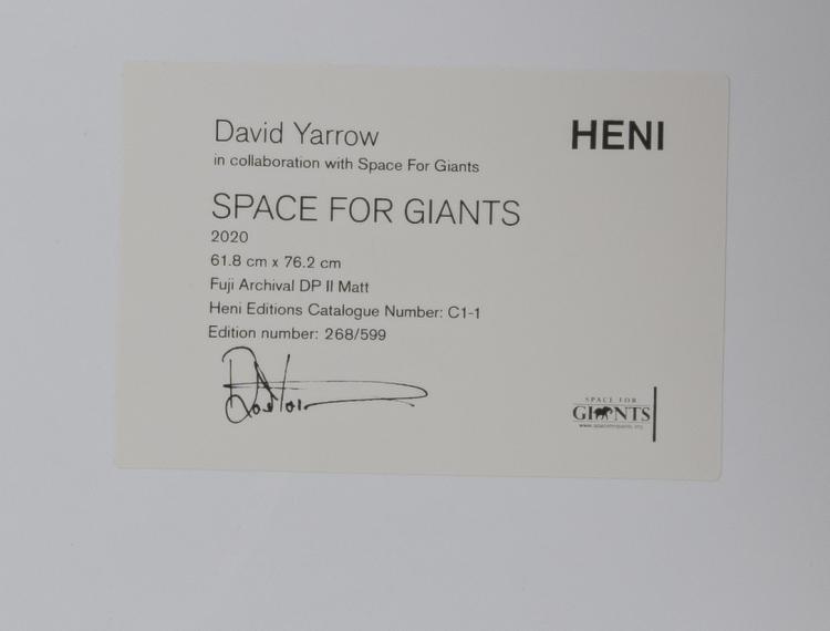 Bild 1 zu Objekt, 'Space for Giants', 2020, David Yarrow, Heni Editions, 163D 619