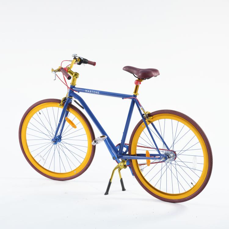 Bild 12 zu Objekt, Damen- und Herrenfahrrad 'Martone', um 2013, Lorenzo Martone, Martone, Meran, 163C 532